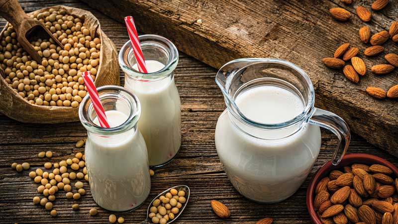 Bebidas vegetais
